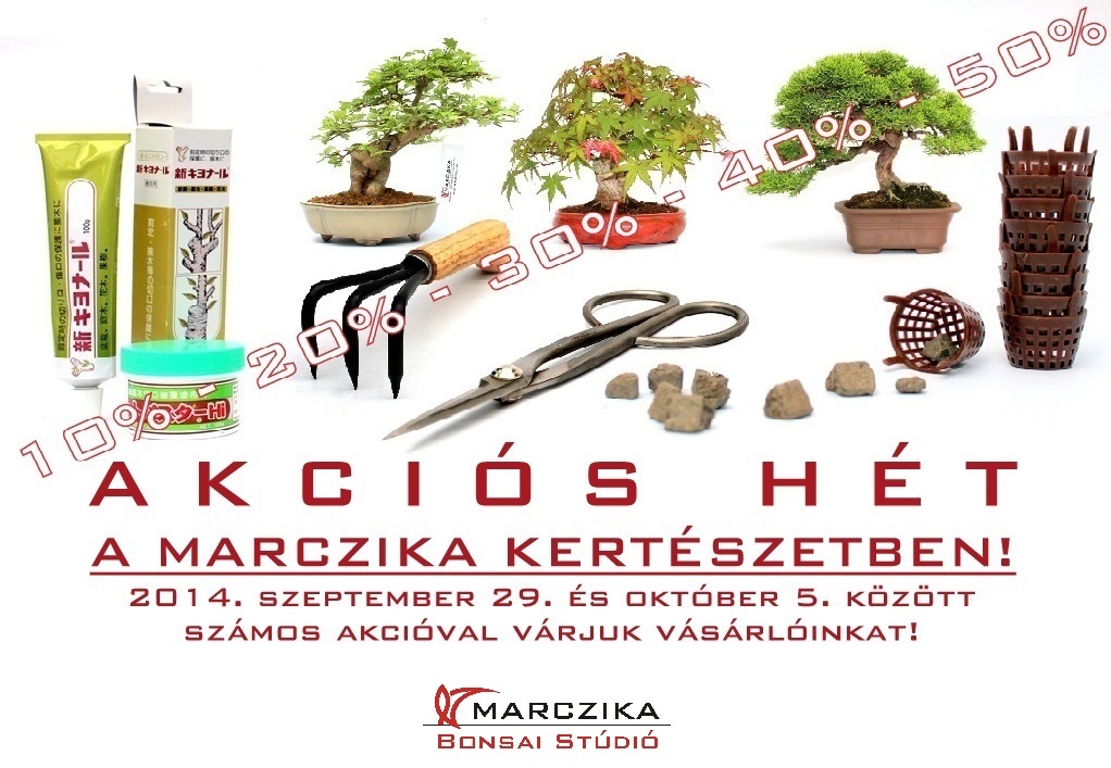 bonsai, hirek, informaciok, bonsaj, bonsai kiallitas, bonsai akciok, bonsai akcio, bonzai, bonsai vasarlasi lehetoseg, bonsai kerteszet, bonsai hirek, bonsay akcios bonsai termekek bonsaj sales studio